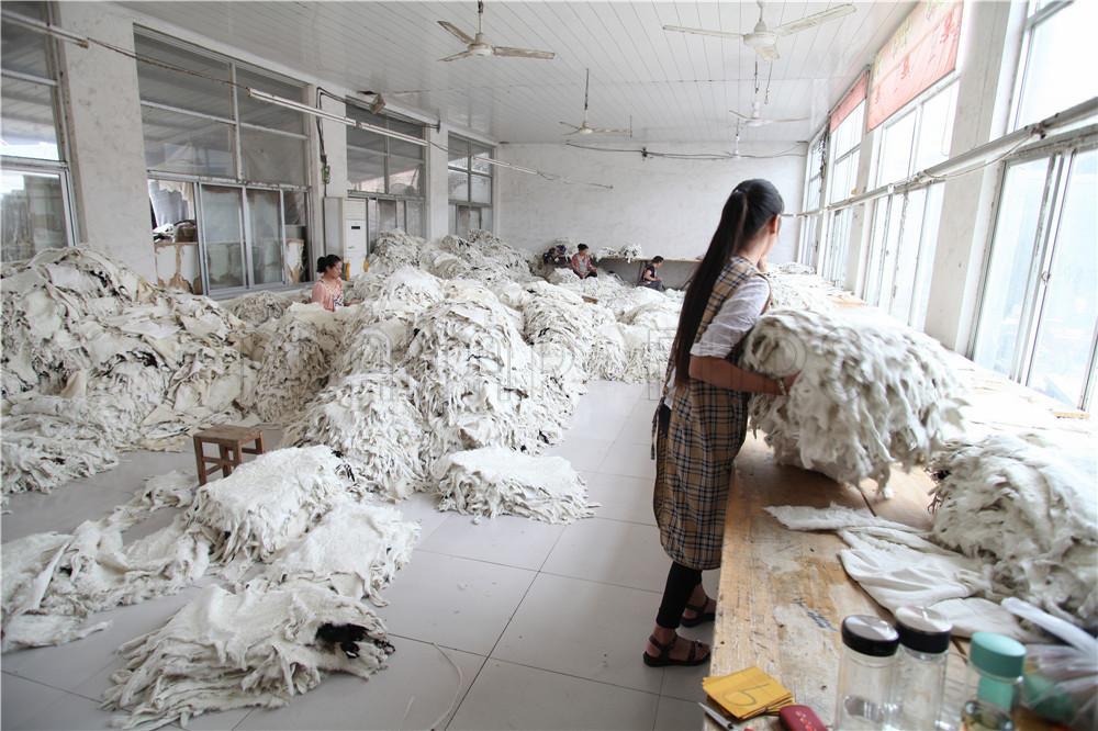 astrakhan swakara fur skins pelts in manufacturer factory