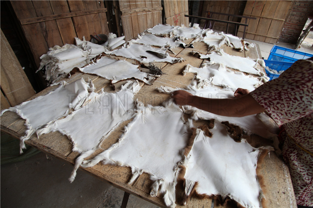 astrakhan swakara fur skins pelts in manufacturer factory